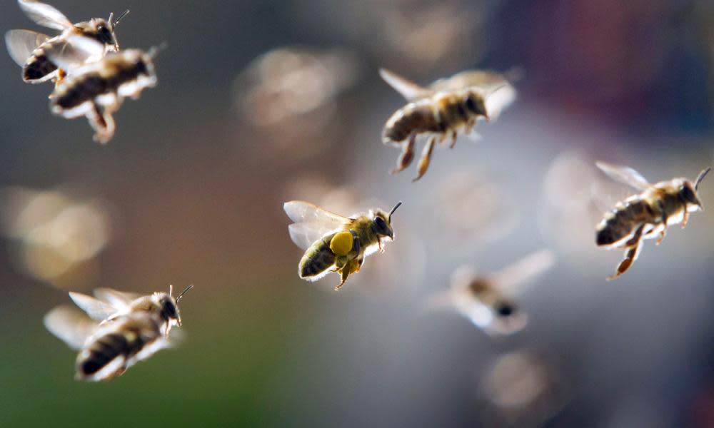 Busyness has become perceived as a sign of success, says Hilda Burke