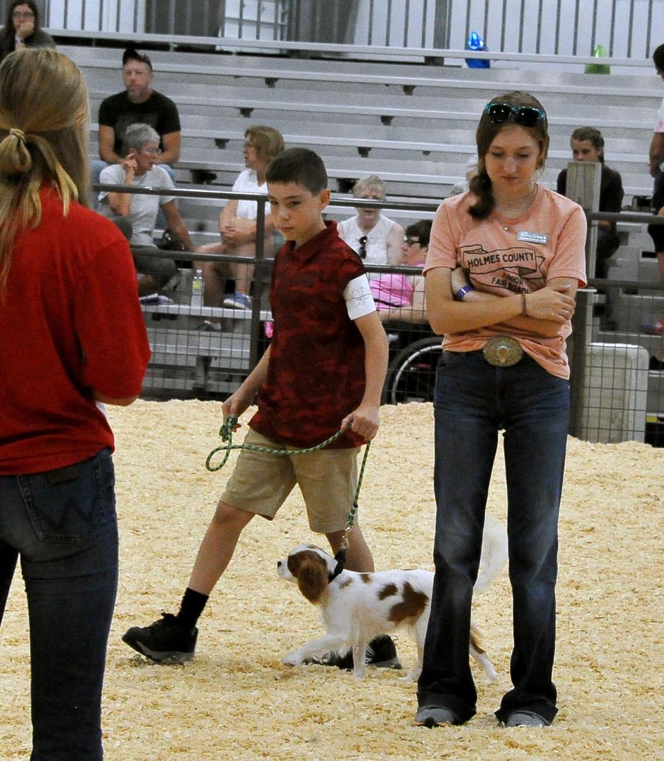 Caleb White and his dog, Nala, maneuver around human post Becka Schuch during the Dog Show at the Holmes County Fair.