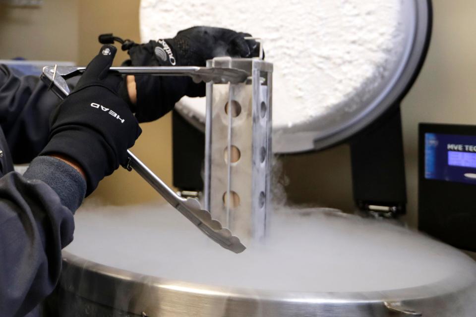 A container with frozen embryos and sperm stored in liquid nitrogen is removed at a fertility clinic in Fort Myers, Fla., Oct. 2, 2018. (Credit: Lynne Sladky/AP/File)