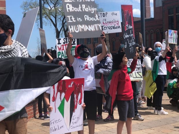 Pro-Palestinian supporters are shown at a demonstration in Fredericton. 