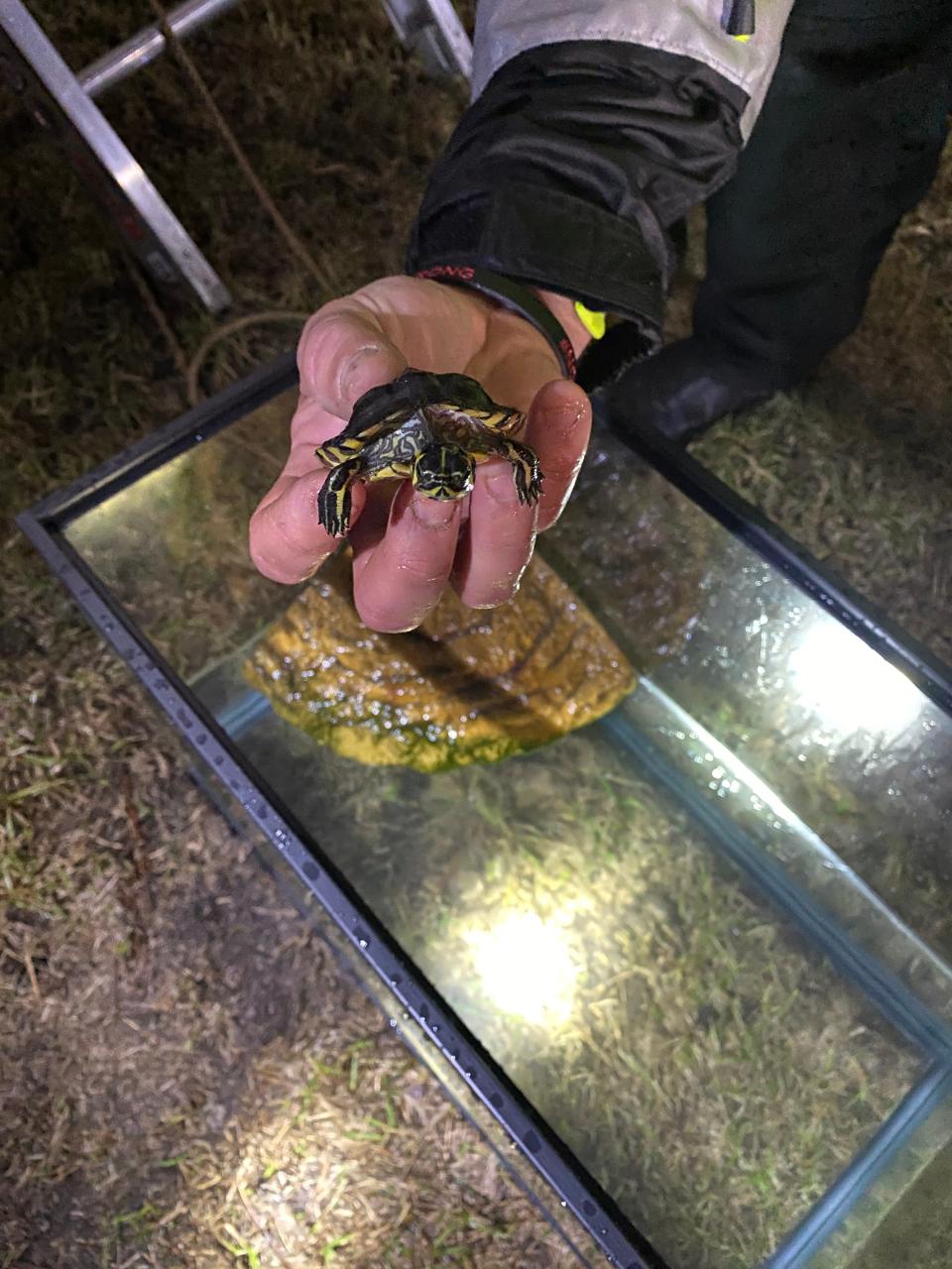 Firefighters reunited two pet turtles with their owners after a home of Beach Front Trail caught fire Friday night. The home was heavily damaged, but no injuries were reported.