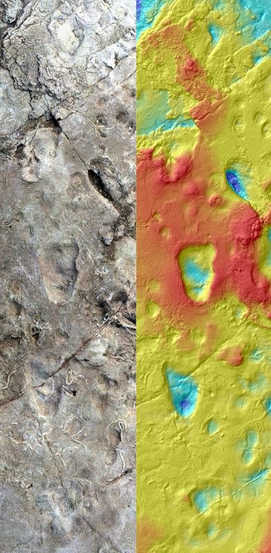 Fossilized footprints dating from 3.66 million years ago in Tanzania