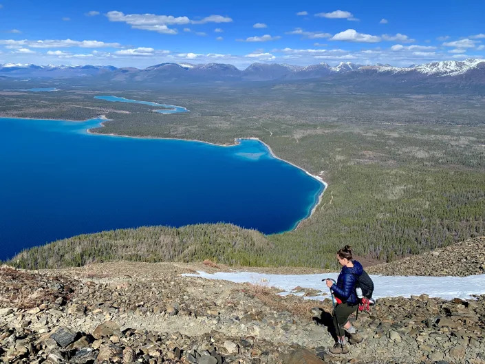 hilary running through a scenic landscape in yukon canada