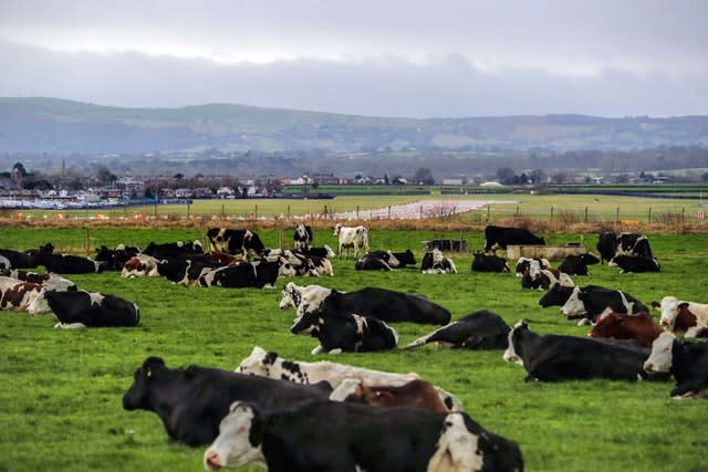 Meeting the target will require a reduction in eating meat and dairy, the report said (Peter Byrne/PA)