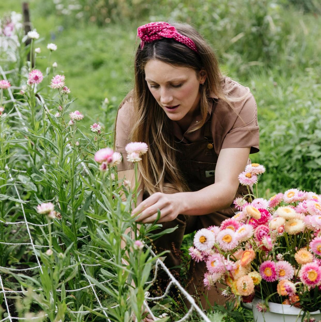 Young plants benefit from good air flow as they start to grow, says Milli Proust