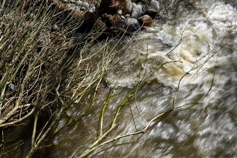 Debris carried by storm waters in the North Fork Tulare River on Monday, March 13, 2023 along Highway 190.