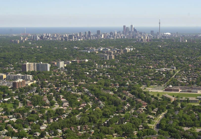 Toronto's tree canopy was ranked fifth in the Treepedia project ahead of New York, London and Paris.  (City of Toronto  - image credit)