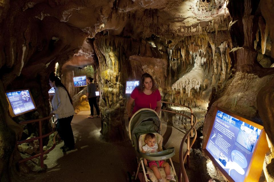 The Florida Museum’s iconic limestone cave will remain as part of a new "Water Shapes Florida" exhibit and will be refreshed with new technology, graphics and content.