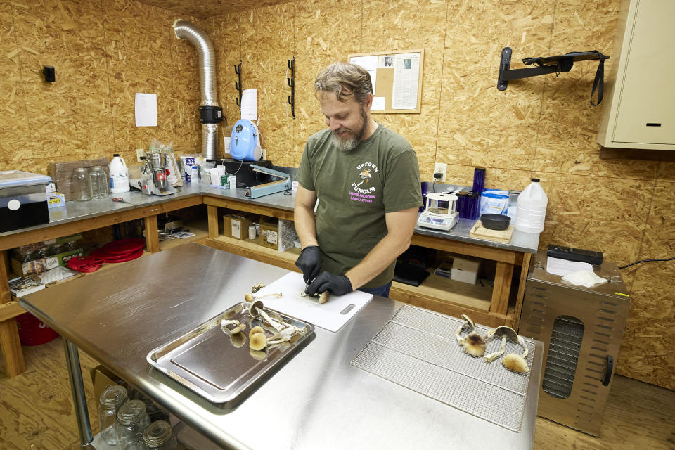 Gared Hansen cuts psilocybin mushrooms in his Uptown Fungus lab to prepare for distribution in Springfield, Ore., Monday, Aug. 14, 2023. (AP Photo/Craig Mitchelldyer)