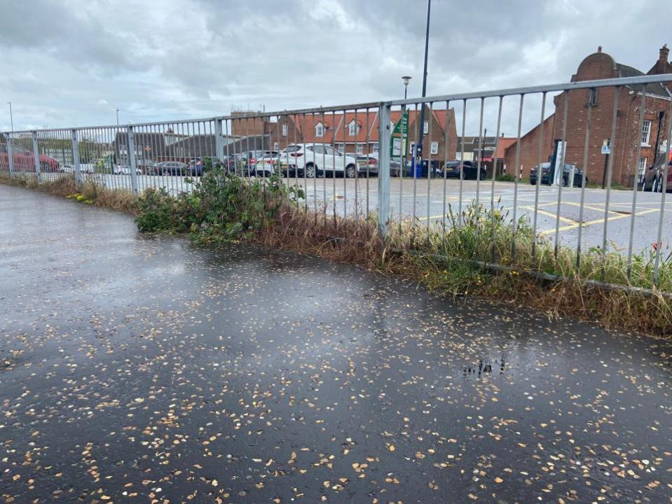 Eastern Daily Press: Weeds growing on Fuller's Hill, Great Yarmouth.