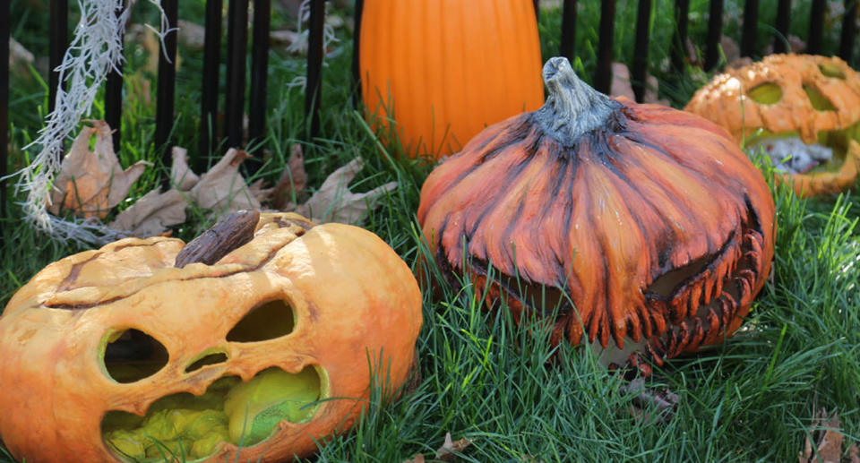 A photo of pumpkins for Halloween.