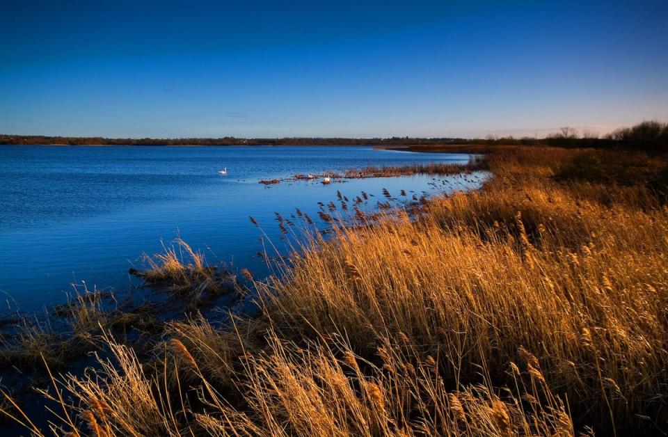 This peaceful fishing lake is 20 miles west of Belfast (Tony Pleavin/Tourism Northern Ireland)