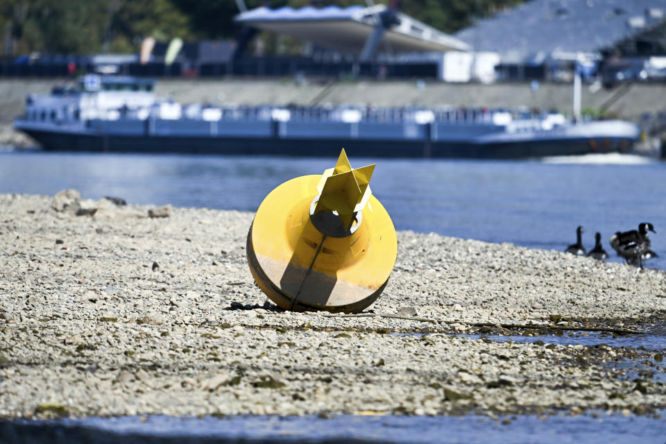 A cargo ship passes a danger buoy lying on dry land in Dusseldorf, North Rhine-Westphalia, Germany. After weeks of drought, the water levels of the Rhine have reached historic lows. (Federico Gambarini/dpa via AP)