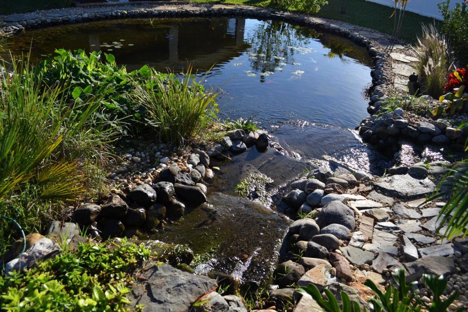 This undated photo provided by Kristen Alligood shows a pond designed by Sonny Alansky for the backyard of his home in Rockledge, Fla. It measures roughly 37 feet in diameter, has three waterfalls and 14 koi fish. Backyard ponds, which range from small and simple to meandering and ornate, can become a passion for many gardeners. (AP Photo/Kristen Alligood)