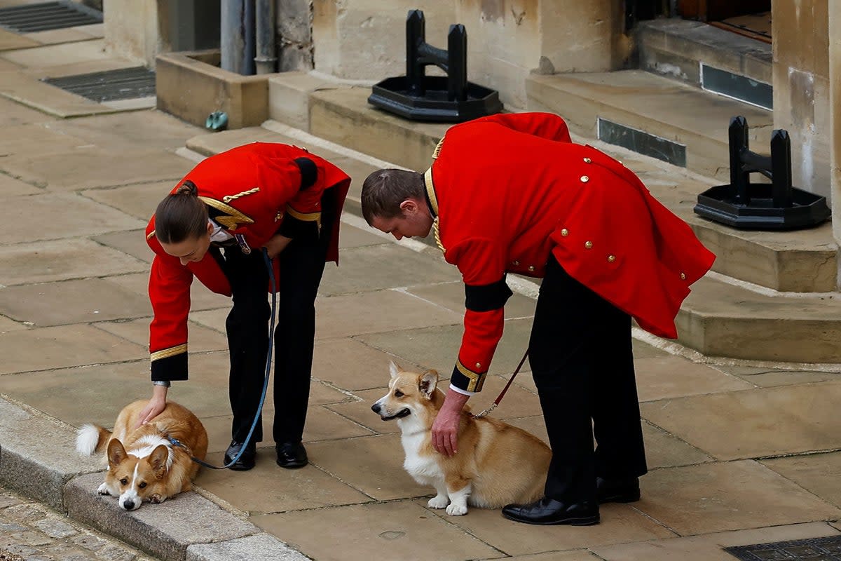 The Queen’s two corgis, Muick and Sandy during the procession (Peter Nicholls/PA) (PA Wire)