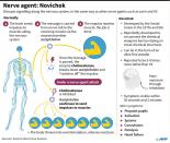 Factfile on the Soviet-era nerve agent Novichok