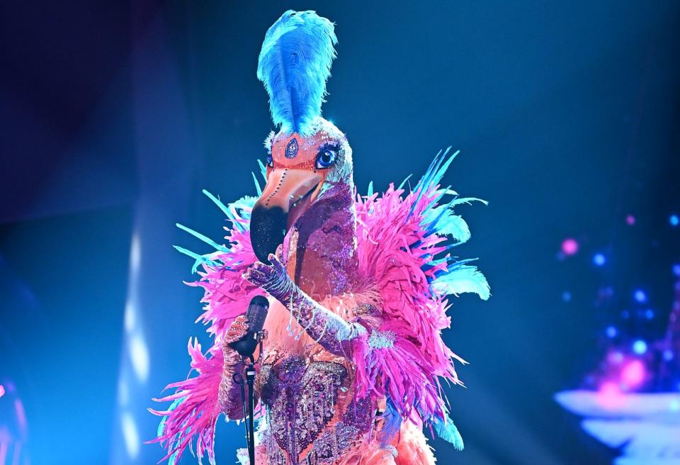 Der Flamingo rührte Ruth mit der Monsterballade "You raise me up" zu Tränen. (Bild: ProSieben/Willi Weber)