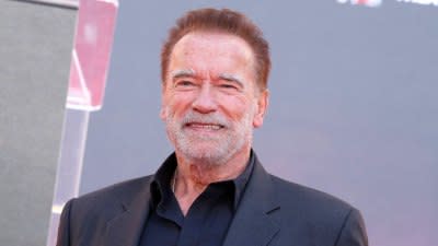 Arnold Schwarzeneggers Familys Quotes On His Affair