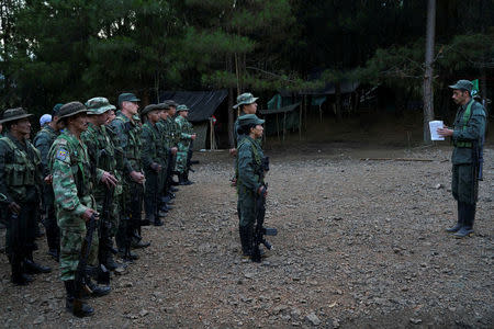 FARC members stand during a formation at the Los Robles FARC camp, Colombia, January 25, 2017. REUTERS/Federico Rios