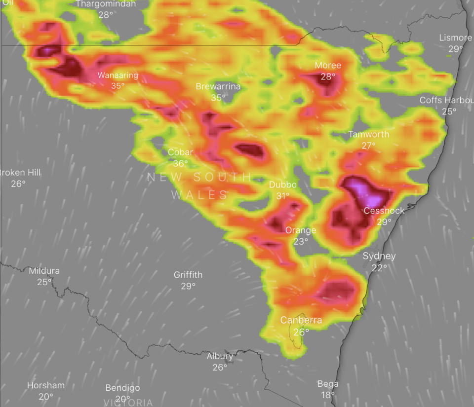 A map of the thunderstorms over NSW. Source: Windy