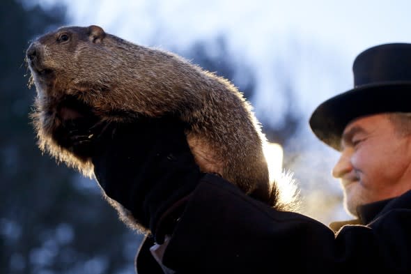 Punxsutawney Phil - AP Photo