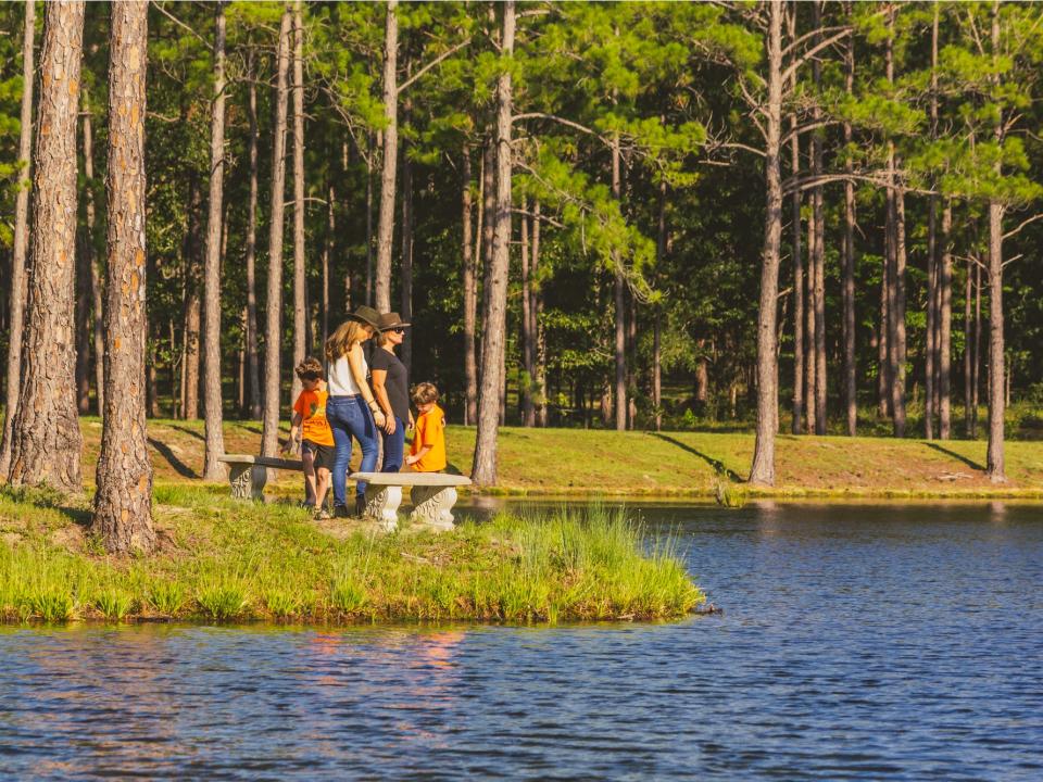 Timber Creek Lodge