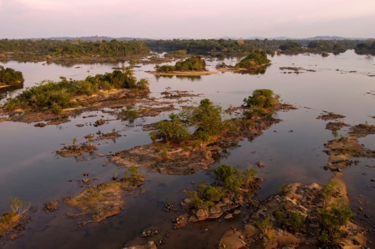 Wissenschaftler haben im brasilianischen Amazonasgebiet eine dem Piranha ähnliche, aber vegetarisch lebende Fischart entdeckt - und sie nach dem Tolkien-Bösewicht Sauron benannt. (CARLOS FABAL)