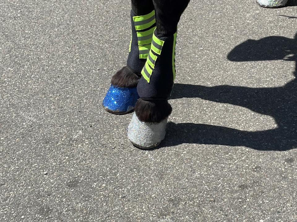 Wayne County Sheriff's Office mount Ace models his Twinkle Toes Glitter in Detroit Lions' colors of Honolulu blue and silver at the NFL draft in Detroit on Thursday, April 25, 2024..