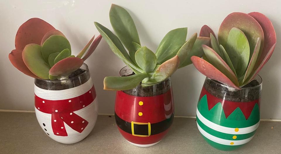 Three Kmart Christmas painted glasses with succulents planted in them