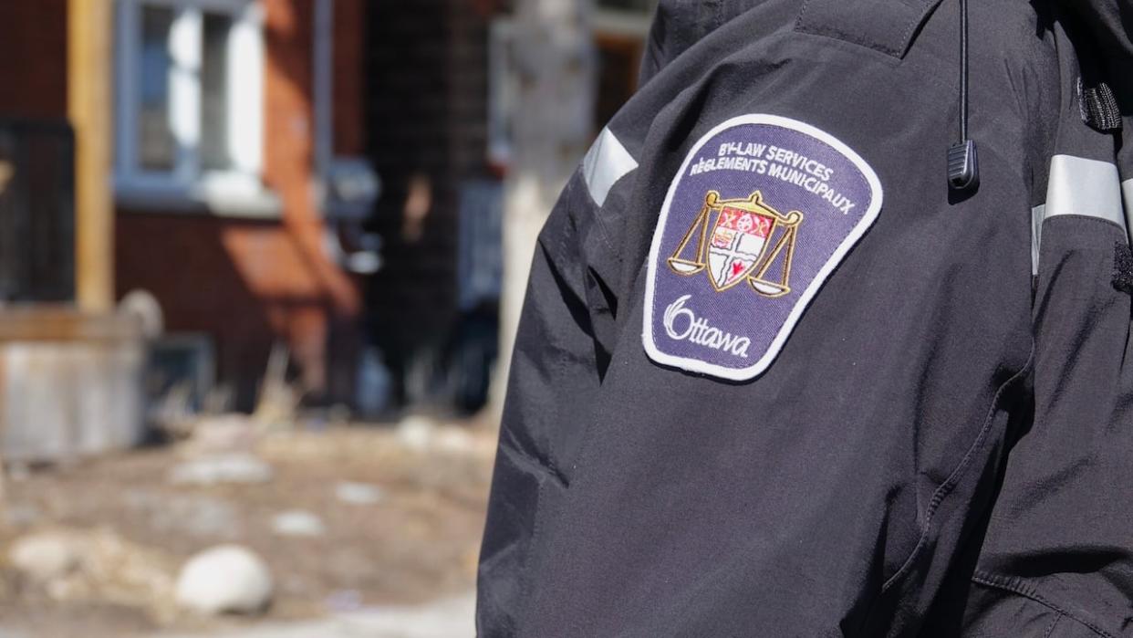 Ottawa bylaw officers are receiving far more calls on average each year than their counterparts in Hamilton, Windsor and Toronto, according to data presented at a city committee Thursday. (Francis Ferland/CBC - image credit)