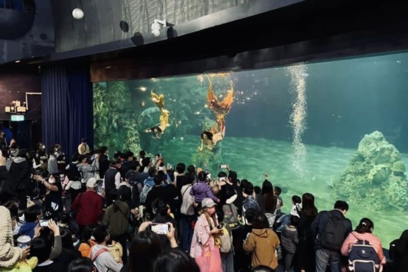 ▲遠雄海洋公園人魚公主秀將於9月12日起暫停演出。（圖/小璐提供）