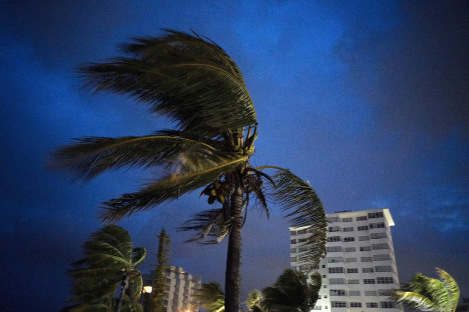 Strong winds move the palms of the palm trees at the first moment of the arrival of Hurricane Dorian in Freeport, Grand Bahama, Bahamas, Sept. 1, 2019. (Photo: Ramon Espinosa/AP)