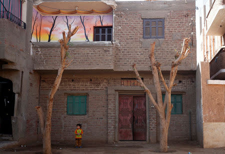 A view of Amany Shamekh's house in Awlad Serag village of Assiut Governorate, south of Cairo, Egypt, February 8, 2018. REUTERS/Hayam Adel