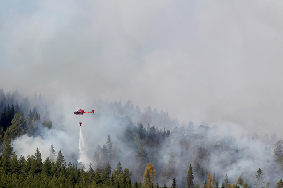 <em>Blazes – wildfires are sweeping across the Arctic Circle, burning in countries including Sweden, Norway, Finland and Russia (Picture: Getty)</em>