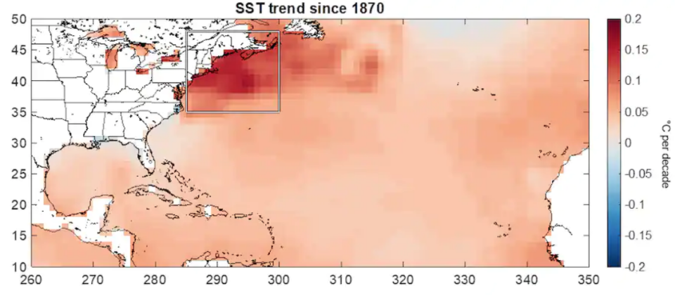 Trends in Atlantic Ocean warming, from Dr. Kris Karnauskas from the Oceans and Climate Lab at University of Colorado, Boulder. The area off the northeast U.S. coast is warming much faster than the rest of the ocean, indicated by the darker red.  / Credit: Kris Karnauskas