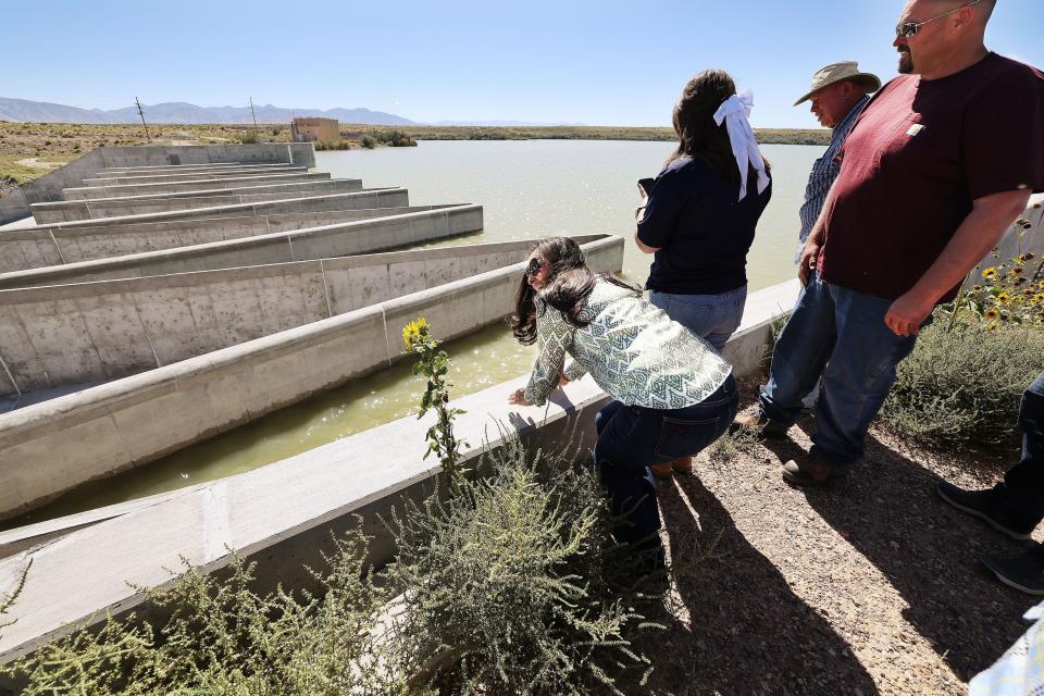 Salt Lake County Council member Dea Theodore and others look over the Delta reservoir spillway as the Millard County Farm Bureau hosts a tour of alfalfa farms, water improvements and a dairy to showcase local agriculture in Delta on Wednesday, Sept. 6, 2023. | Jeffrey D. Allred, Deseret News