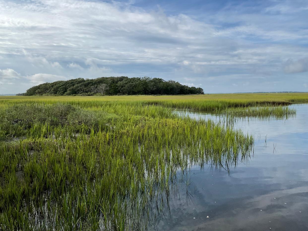 Stretches of marsh surround Nassau County's Little Tiger Island near Fernandina's historic waterfront.