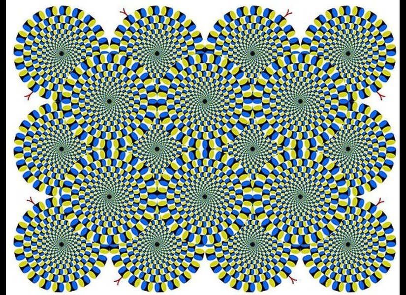 'Crawling Snakes' by Akiyoshi Kitaoka. Moving Illusons are static images where you can see illusory motion due to color contrasts and shape position.    