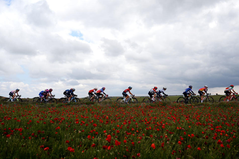 LERMA SPAIN  MAY 19 A general view of the breakaway compete passing through flowery landscape during the 8th Vuelta a Burgos Feminas 2023 Stage 2 a 1189km stage from Sotresgudo to Lerma  UCIWWT  on May 19 2023 in Lerma Spain Photo by Dario BelingheriGetty Images