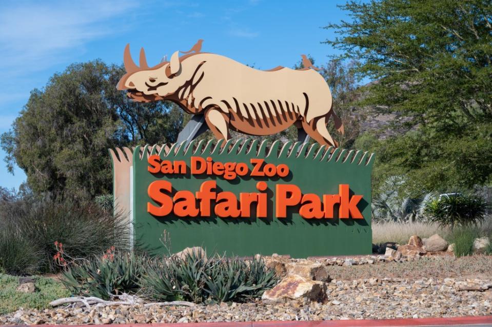 San Diego Zoo Safari Park via Getty Images