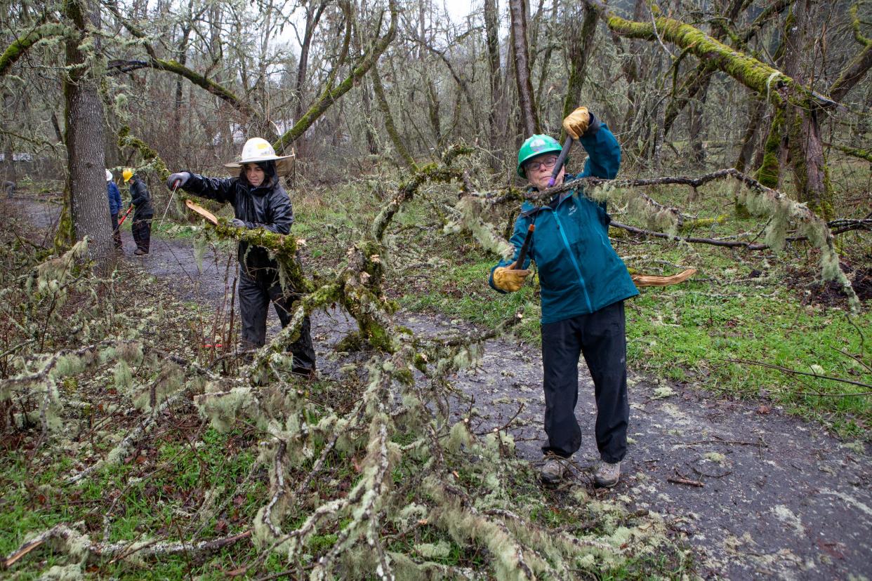 Volunteers Andrea Wuenschel, center, and Anne Forrestel work to remove fallen limbs from the a path in the Mt Pisgah Arboretum Jan. 26 in the wake of a devastating ice storm that damaged at an estimated 60% of the trees in the park.