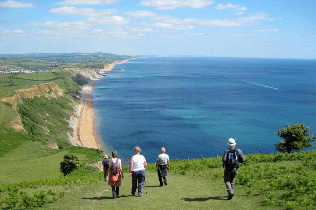 Walking down Thorncombe Beacon. Photographer James Cook