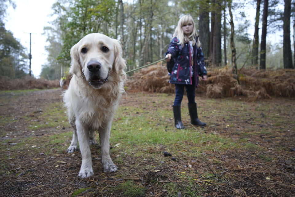 Dog walk, closeup of the dog from low angle, taken with the Sigma 10-18mm f2.8 DC DN lens for APS-C mirrorless