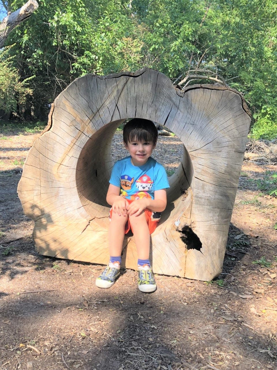 The log tunnel at the new Nature Play Area at the Mass Audubon Wellfleet Bay Wildlife Sanctuary, which will open officially Sept. 24 with a community party.