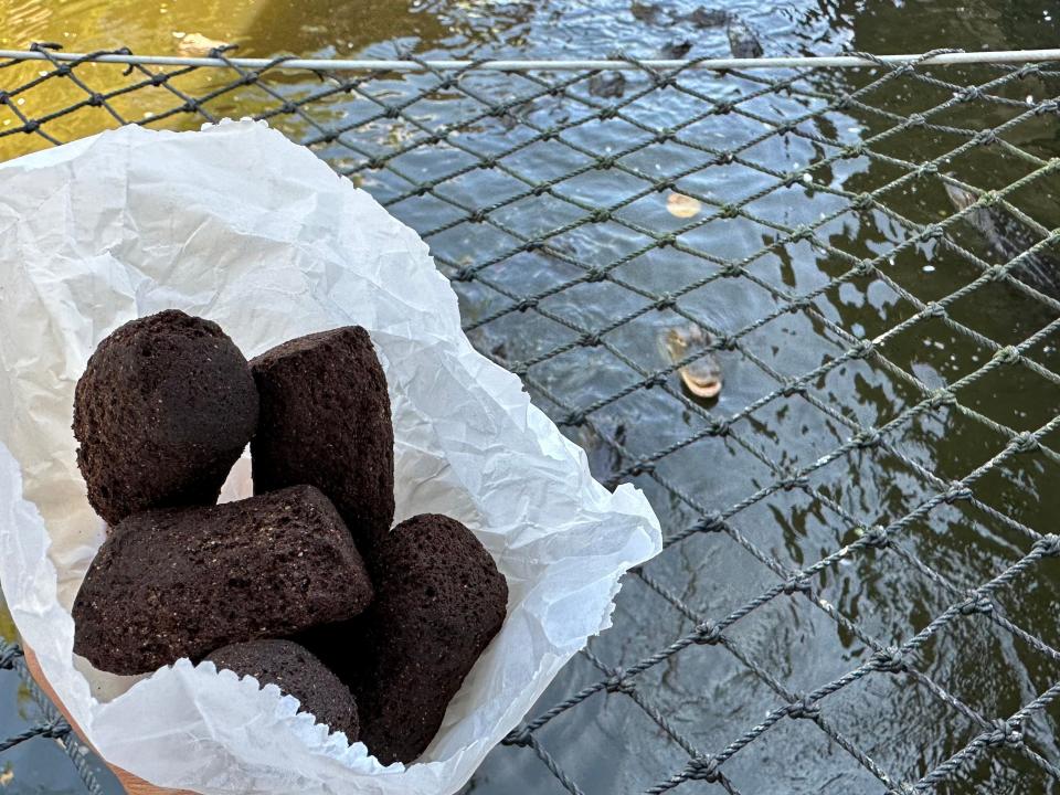 Blocks of brown gator feed in bag with view of fence and gators in water in the background