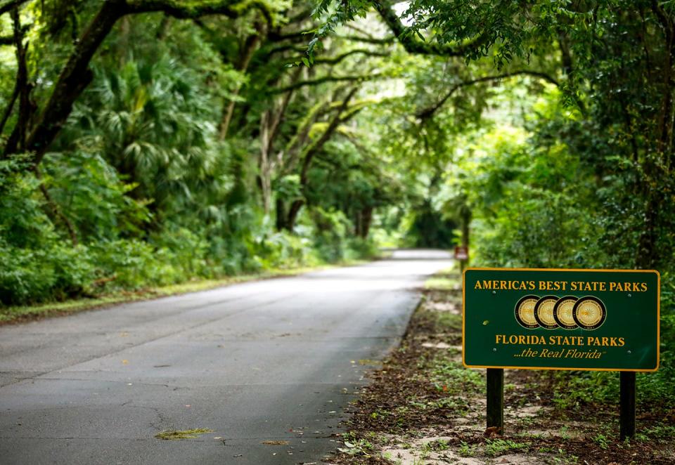 A road with a canopy of trees leads to an entrance of the La Chua Trail at Paynes Prairie Preserve State Park in Gainesville Fla. July 3, 2021.