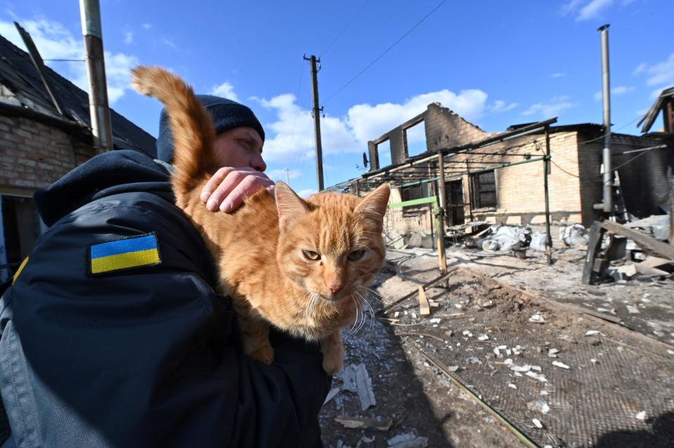<p>Dans la ville bombardée de Horenka, un homme a secouru un chat, visiblement bien seul dans la ville désertique. (SERGEI SUPINSKY/AFP via Getty Images)</p> 