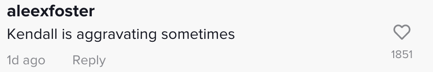 Screenshot of a TikTok comment