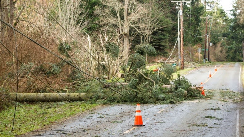 A fallen power line still may be energized, but you won't be able to tell just by looking at it. For this reason, avoid getting near or touching fallen power lines and call emergency authorities if you see them.