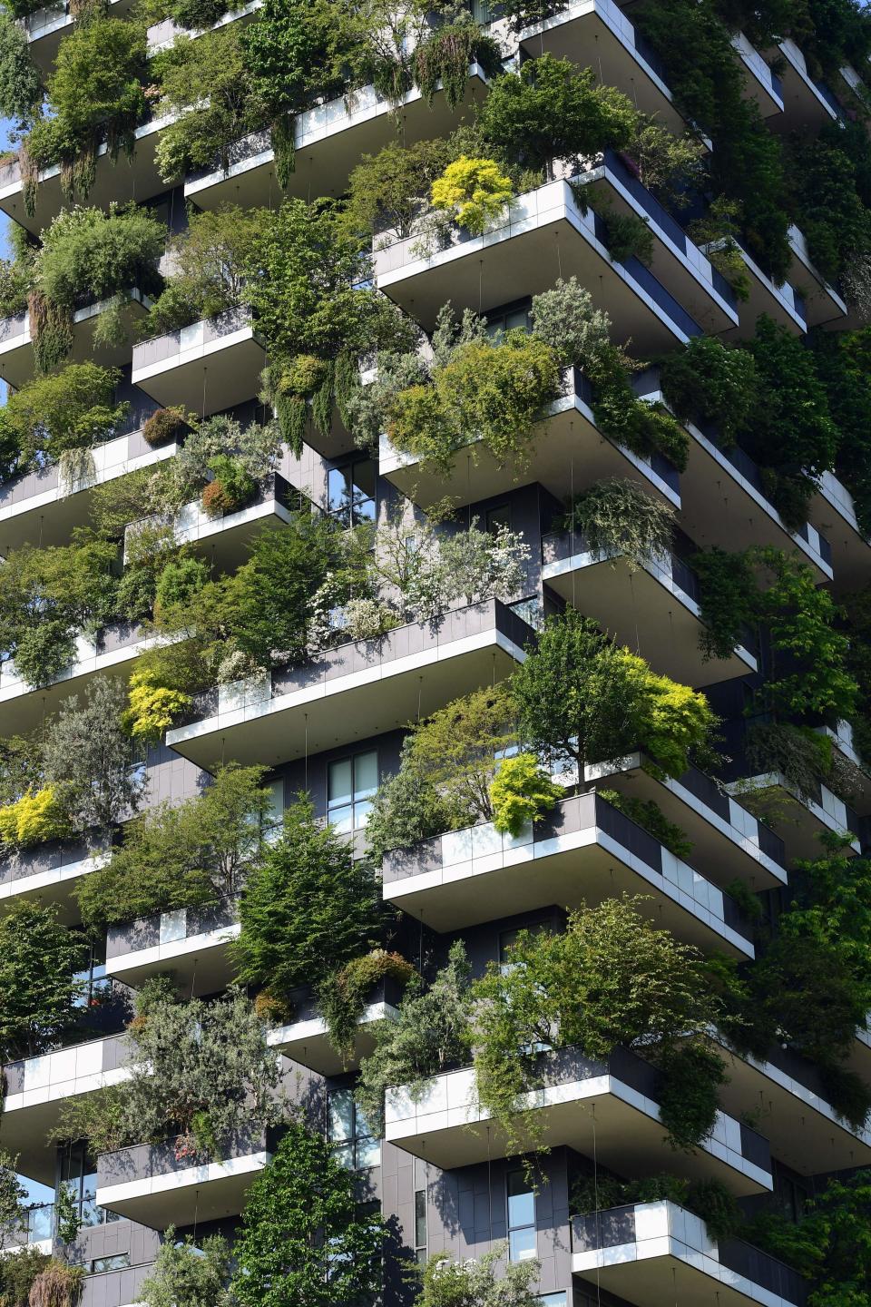 This photograph taken on June 2, 2021, shows a detail of the balconies of the architectural complex called Vertical forest (Bosco Verticale) designed by Studio Boeri in the modern district of Porta Nuova in Milan. (Photo by MIGUEL MEDINA / AFP) (Photo by MIGUEL MEDINA/AFP via Getty Images)